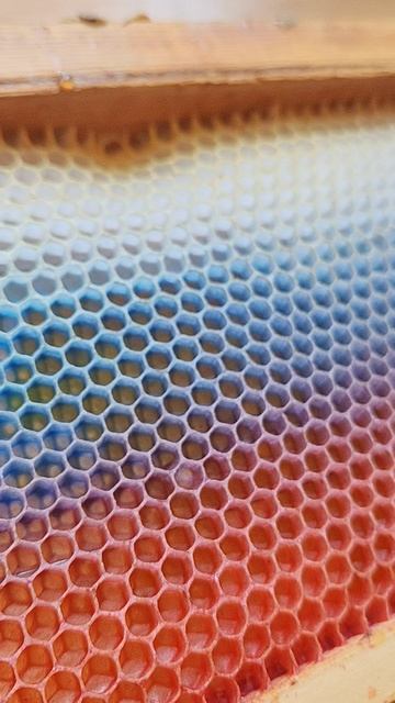 Откуда пчелы тянут воск