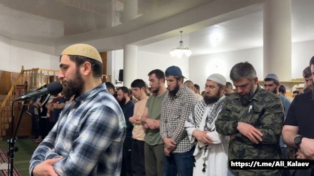 Али Калаев. Рамадан 2024. Красивое чтение Корана(720P_HD) смотреть онлайн