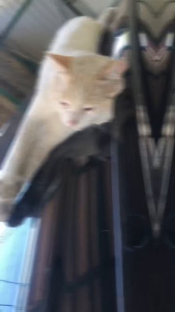 Воть! На машине то тепленько😂