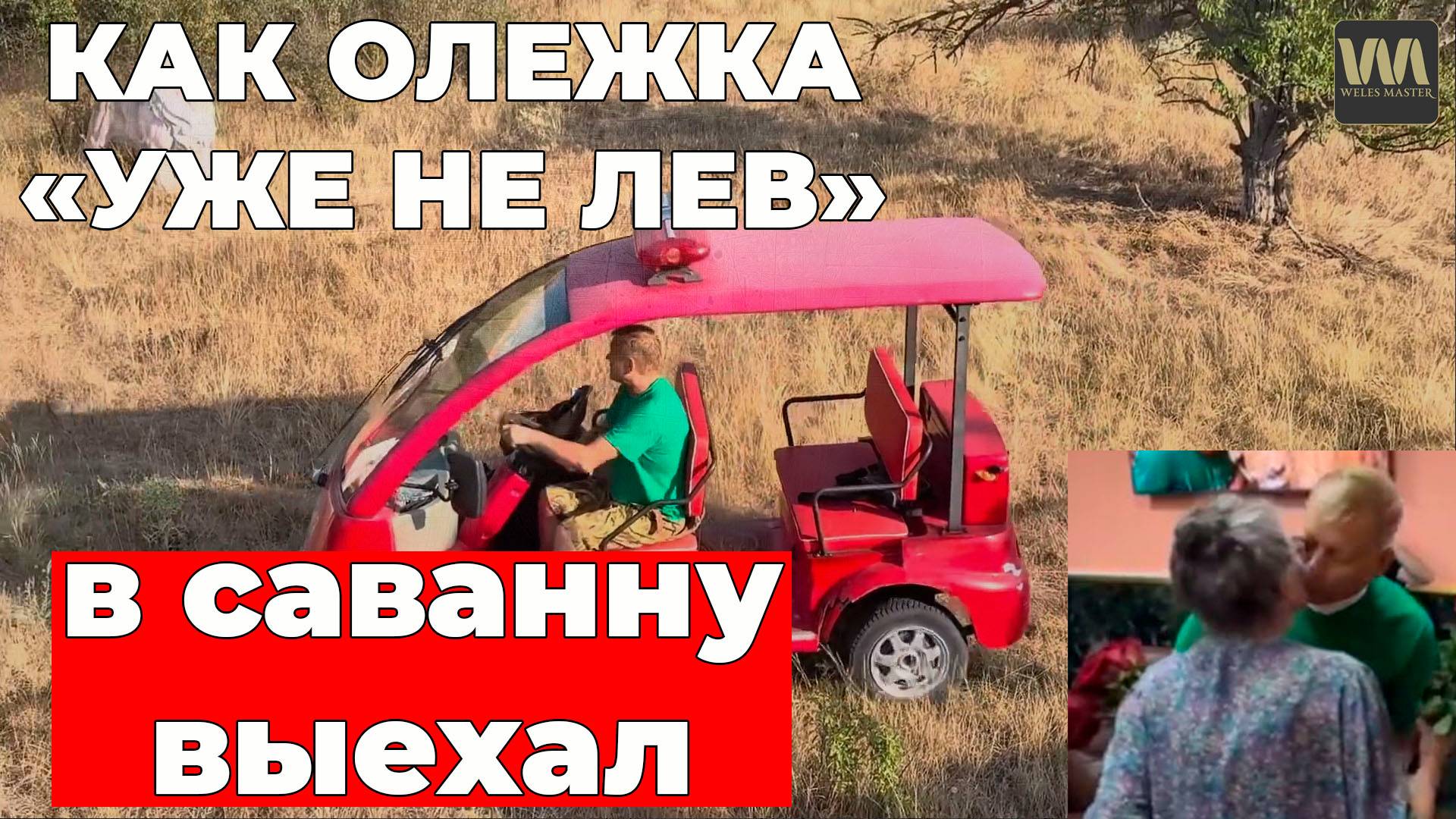 Как Олежка "уже не лев" в саванне какашки убирал после себя, 30 августа смотреть онлайн