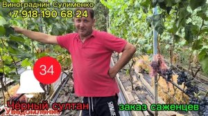 к/м Красное пламя, Чёрный султан, Долгожданный.