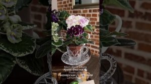 Последние выходные лета 2025 с Кухня Фиалки 🐇. ЛЕ-Анечка, АВ-Гром и Молния,  Mac's Black Uhuru  и..