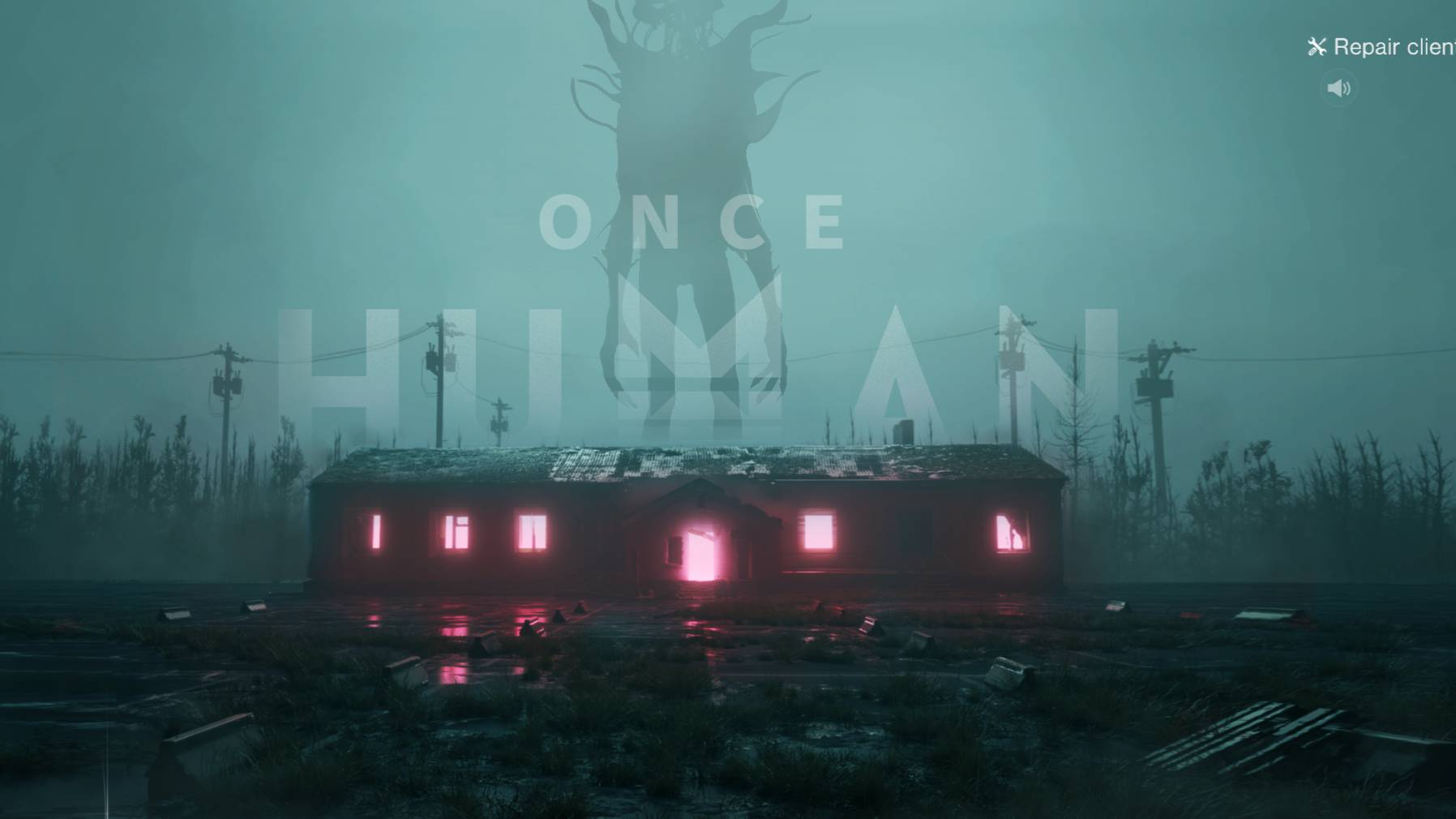 Once Human