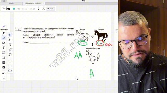 1 задание ОГЭ по биологии