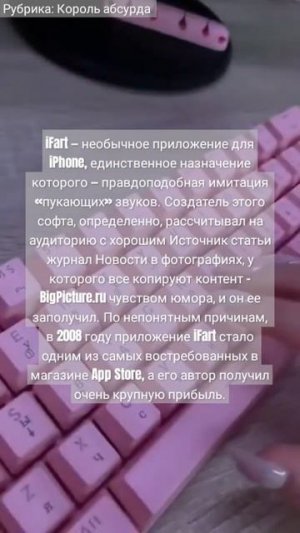 король абсурда 1 #love #quotes #quoteslove #видео #доге #любовь #максвелл #рекомендации