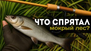 Нашёл старую дорогу к реке. Забросил спиннинг, а там...КИШИТ РЫБОЙ! #мормышинг #ловляхариуса