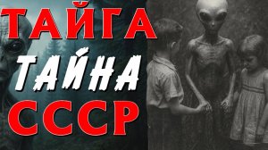 В ТАЙГЕ НАШЛИ БУНКЕР, В КОТОРМ СОХРАНИЛСЯ СЕКРЕТНЫЙ ОБЪЕКТ ИЗУЧЕНИЯ, ЖУТКАЯ ИСТОРИЯ НА НОЧЬ.