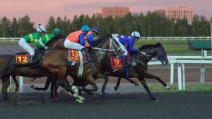 Скачки в Казани: в День республики Татарстан на ипподроме соревновались 190 лучших лошадей