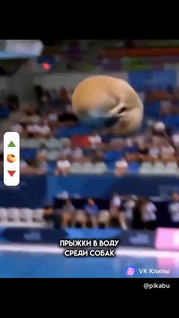 VID-20250625-WA0002.mp4
