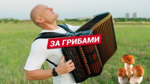 За грибами в лес девчата | Душевная русская песня с баяном
