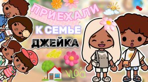 ПРИЕХАЛИ К СЕМЬЕ ДЖЕЙКА🏡Milli toca _Toca boca_Toca life _Toca world _тока бока_Милли тока