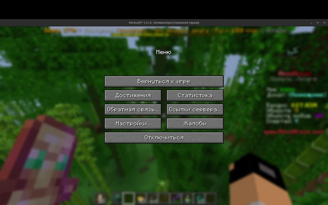 играю в майн