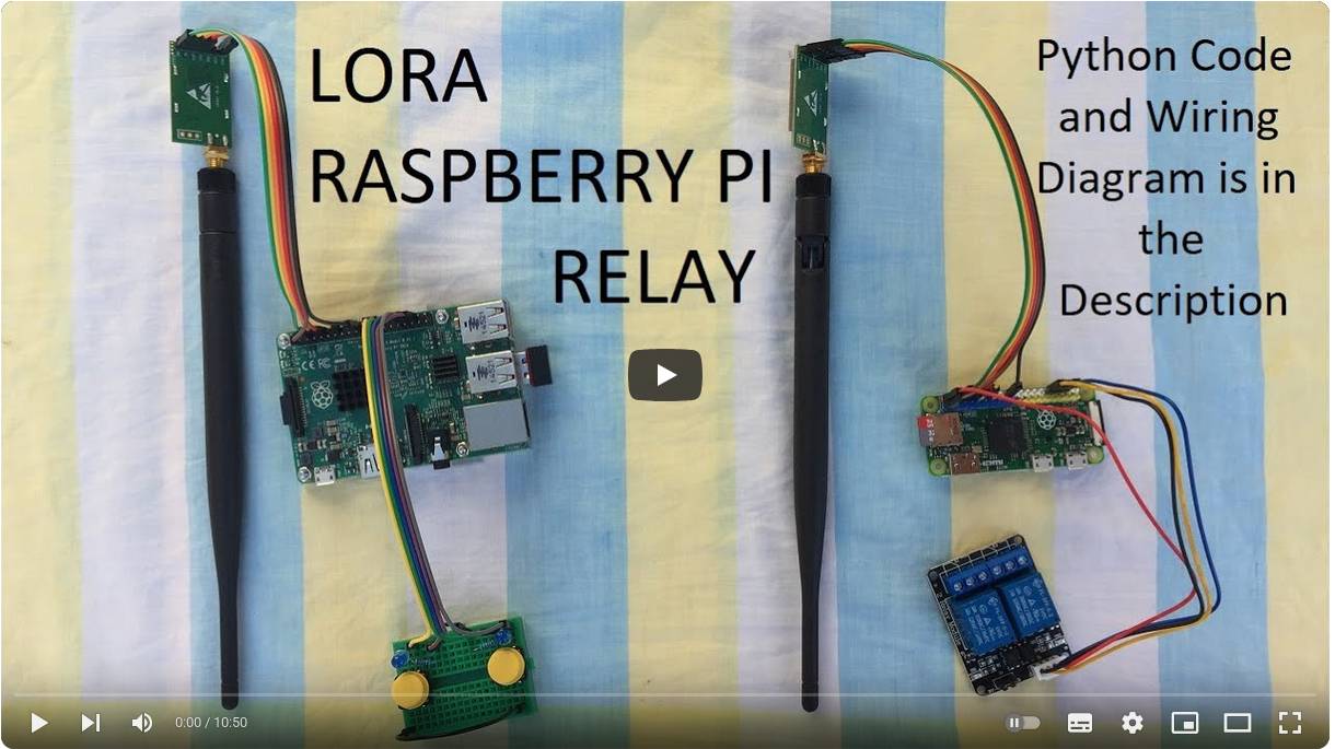 7. Ebyte LORA with Raspberry Pi to switch Relay смотреть онлайн