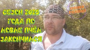 Подводим итоги Роеловного сезона 2025