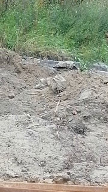 VID_20250829_160811.mp4