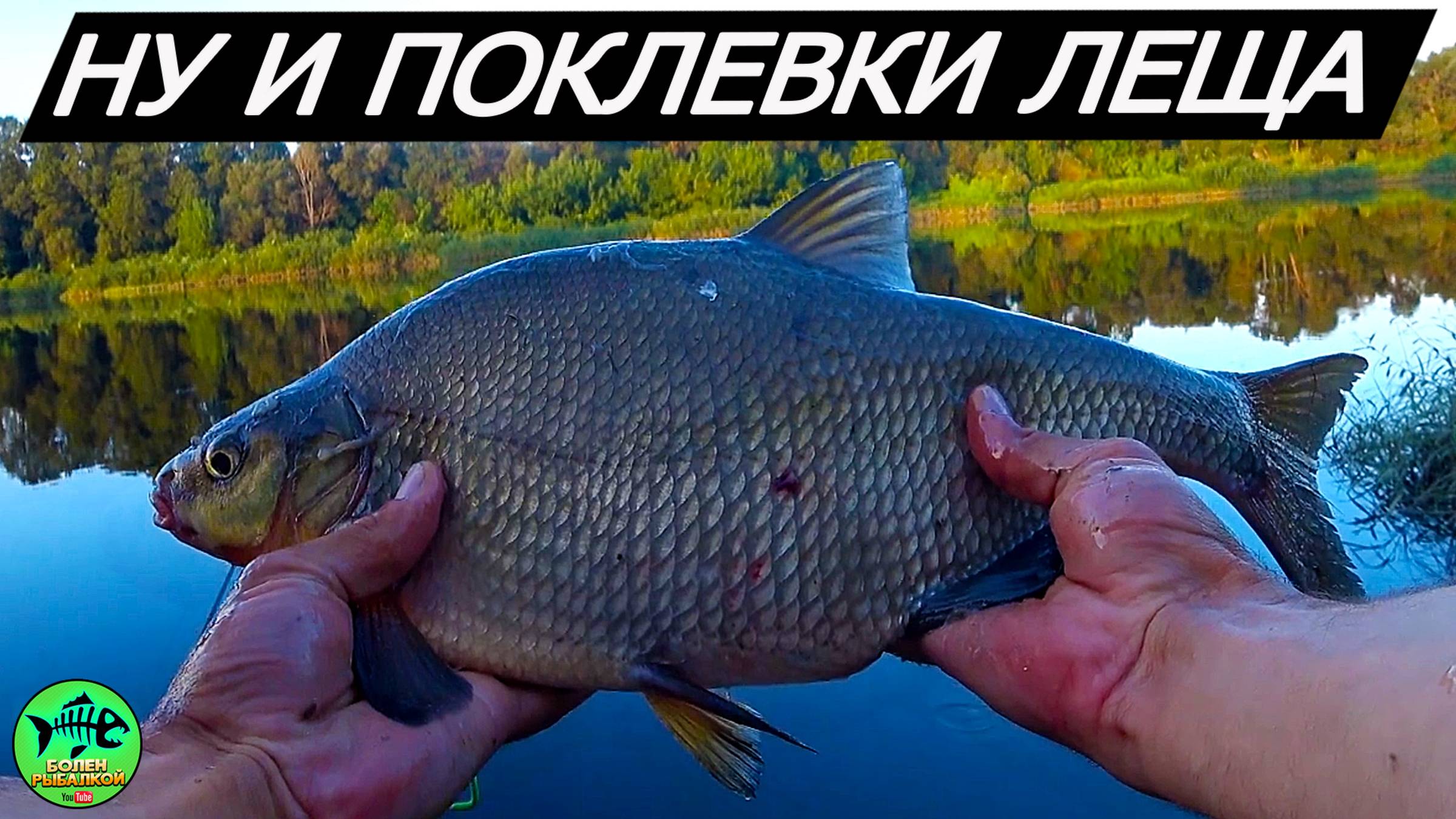 РЫБАЛКА на ФИДЕР на реке западная Двина. Обзор эхолота Lacku LH-1B смотреть онлайн