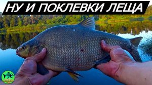 РЫБАЛКА на ФИДЕР на реке западная Двина. Обзор эхолота Lacku LH-1B