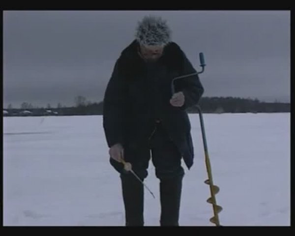 Зачем рыболовы привязывают дополнительный крючок при зимнем блеснении Окуня — Perca fluviatilis ?