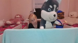 семья собачьих