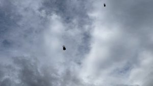 Питомник "Западный" Мариуполь +7 909 667-53-00 Виктор