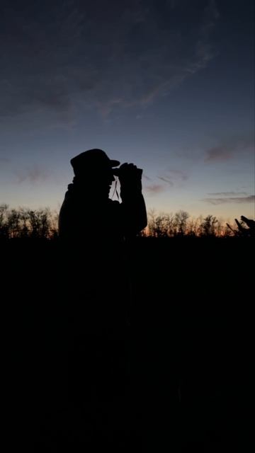 Дозор смотреть онлайн