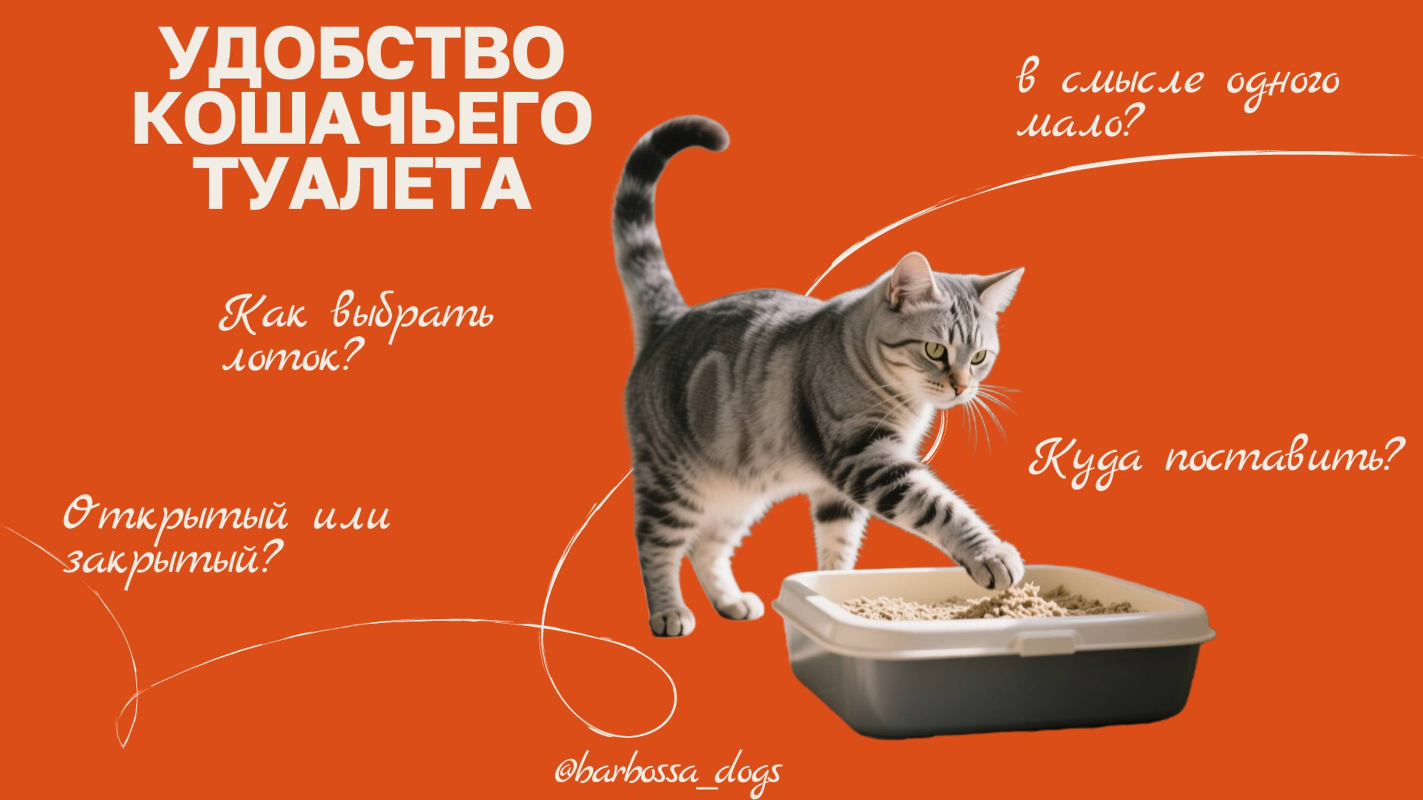 Удобство кошачьего туалета