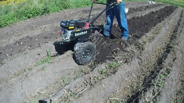 Копка картофеля мотоблоком Boxbot Mt700 мт700