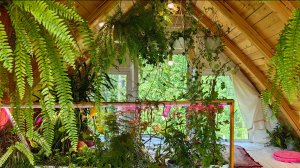 Дом-оранжерея в райском городе Сосновый бор