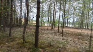 СКОРО ОСЕНЬ🍁🍂🍃: ЗА ОКНАМИ АВГУСТ