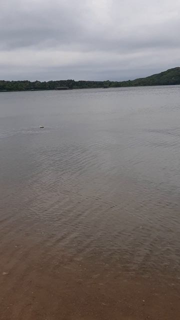 Бомж тур Владивосток-Волгоград бухта Рында смотреть онлайн