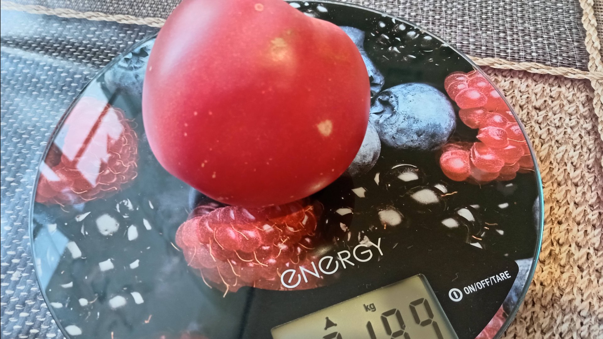 ТЕПЛИЦА ТОМАТЫ. КОНЕЦ АВГУСТА. смотреть онлайн