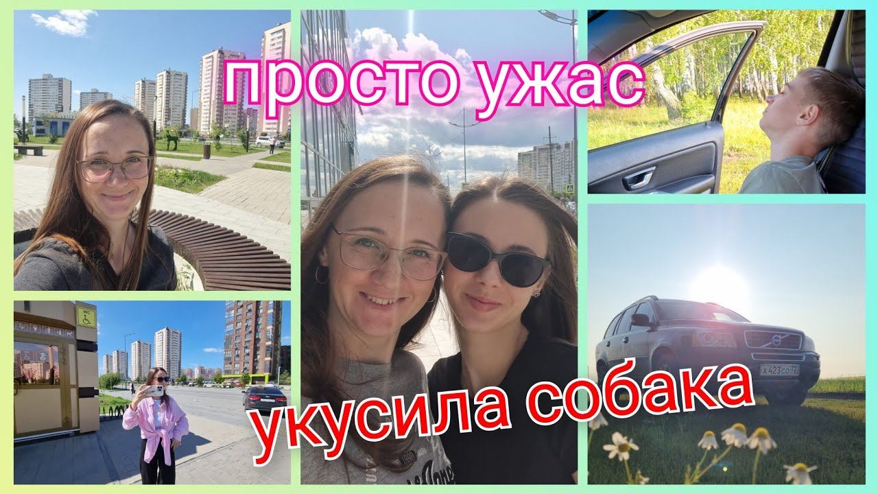 Из Германии в Россию/ Укусила собака/ Огород просто ужас/ Олег Газманов/ Концерт/ День города/ Влог смотреть онлайн