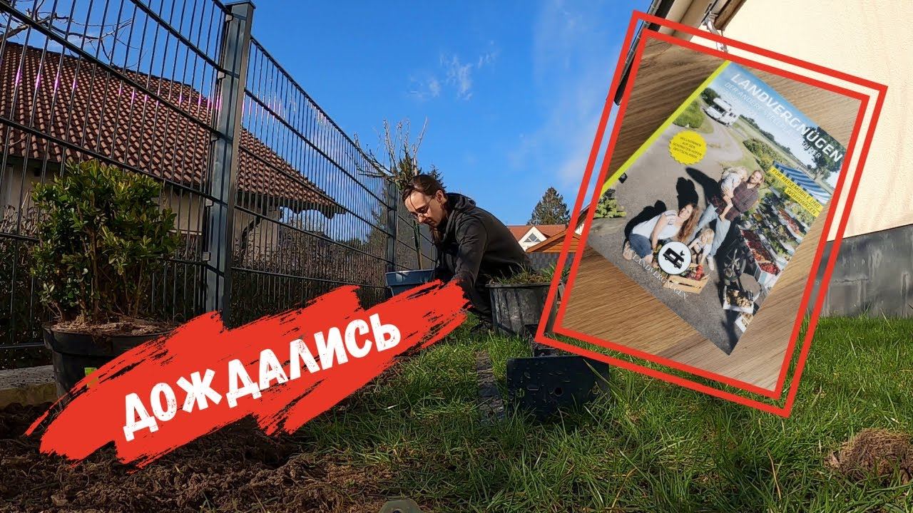 Прислали вигнетку Ландфергнюген 2021/ На участке/Купили пальму/ Наша жизнь в Германии/Влог смотреть онлайн