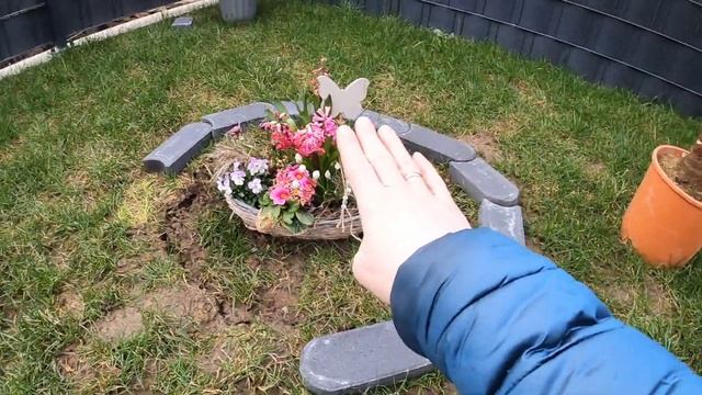 Прислали вигнетку Ландфергнюген 2021/ На участке/Купили пальму/ Наша жизнь в Германии/Влог смотреть онлайн