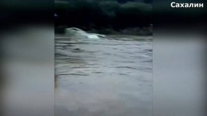 Наводнение_на_Сахалине_Люди_на_крышах_и_дома_под_водой