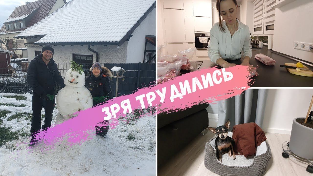 Влог/ Лепим пельмени и снеговика/ Закупка/ Диагноз ветеринара/ Наша жизнь в Германии смотреть онлайн
