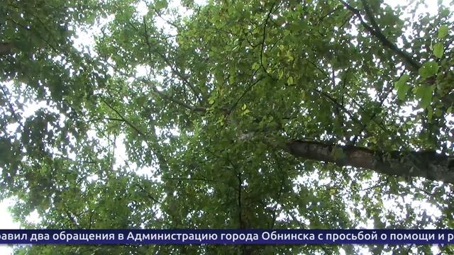 Обнинские новости (за 29 августа 2025) смотреть онлайн