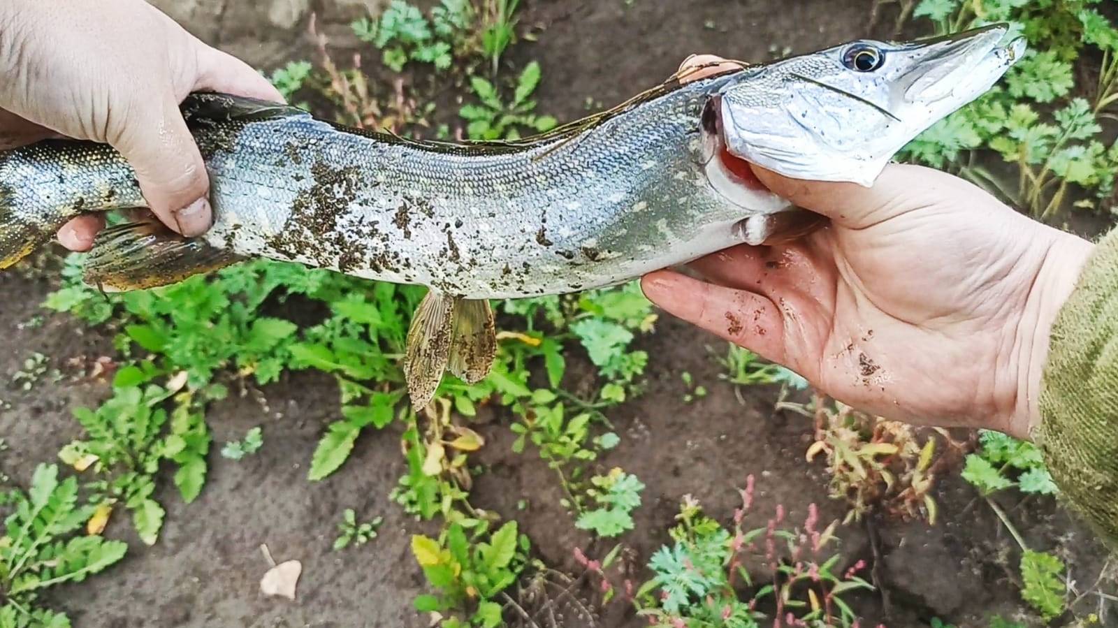Ездил на Рыбалку🎣 на реку-Ай,Башкирию Салаватский округ.