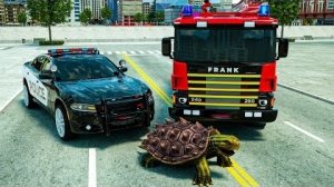 Пожарная машина Фрэнка и полицейская машина Лукаса спасли большую черепаху - сборник