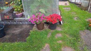 30 августа 2025 г