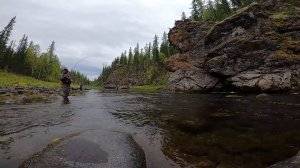 РЫБАЛКА БОМБА. ХАРИУС МОНСТР. ЧАСТЬ ВТОРАЯ.