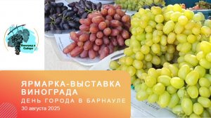 Ярмарка-выставка. День города в Барнауле 30.08.2025