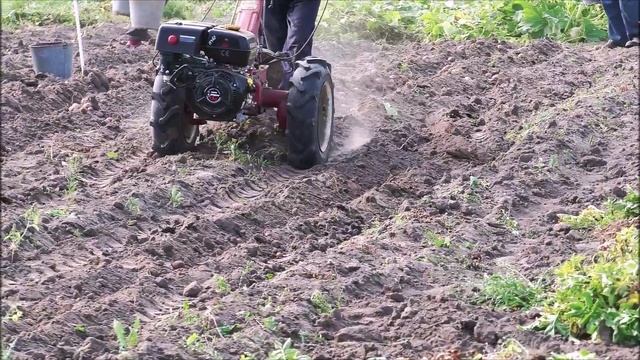 А в деревне без картошки смотреть онлайн