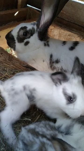 съёмка ролика чуть не привела к трагедии.