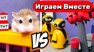 УМНЫЙ ХОМЯК ПРОТИВ ЗЛОДЕЕВ 🐹 ВИДО ПРО УМНОГО ХОМЯКА ДЛЯ ДЕТЕЙ