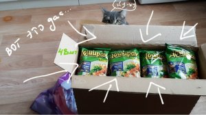 заказала коробку ДОШИРАКА| влог