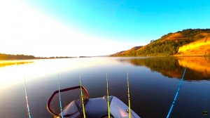КРУПНЫЙ САЗАН НА ЧЕРВЯ!! РЫБАЛКА ЛЕТОМ НА РЕКЕ - СКОРО ОСЕНЬ