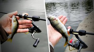 Конец лета, Качаловский пруд,  ROLANS FM WASP и  неугомонные окуньки