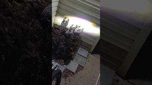 MMZ-S009 (300cc) — Обзор