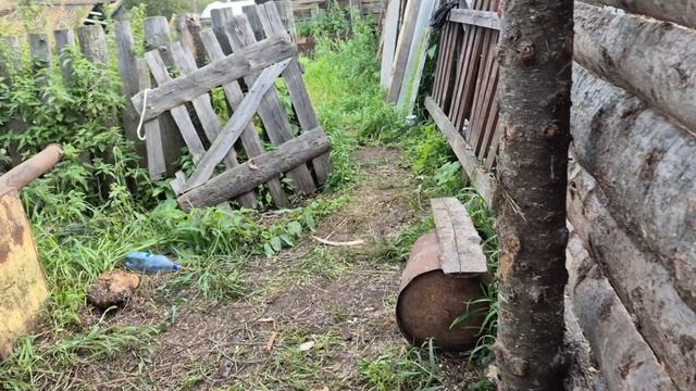 Наша бабья работа по кругу/ кучкую тыкву/ новости по телевизору смотреть онлайн